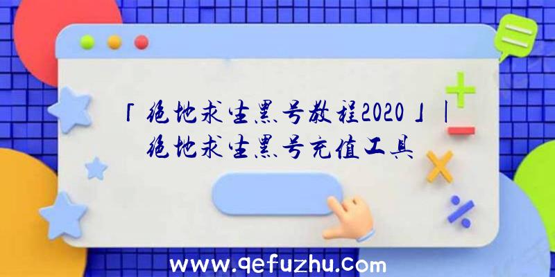 「绝地求生黑号教程2020」|绝地求生黑号充值工具